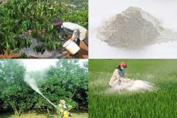 Vôi bột dùng trong nông nghiệp